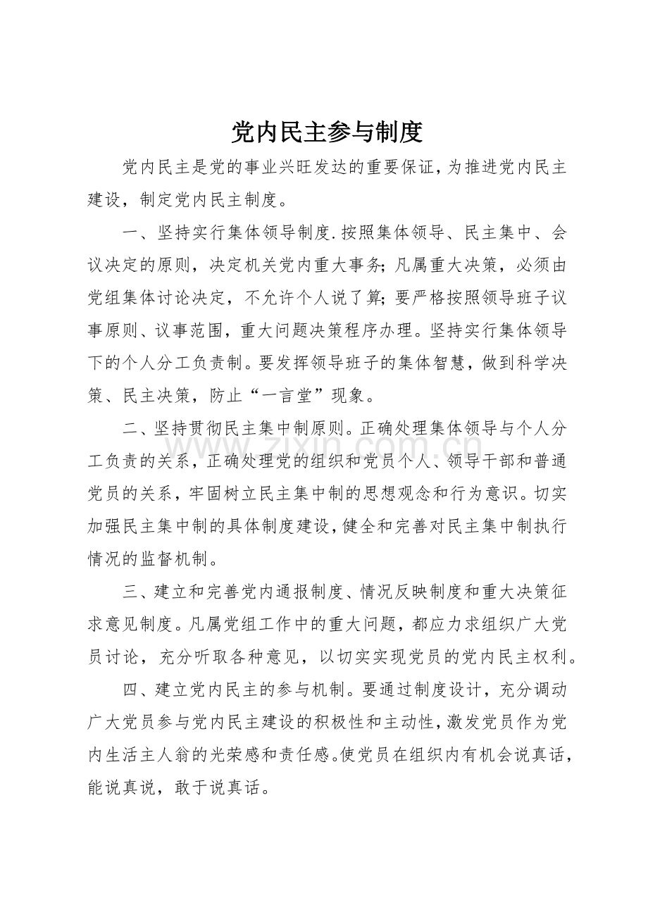 党内民主参与规章制度细则.docx_第1页