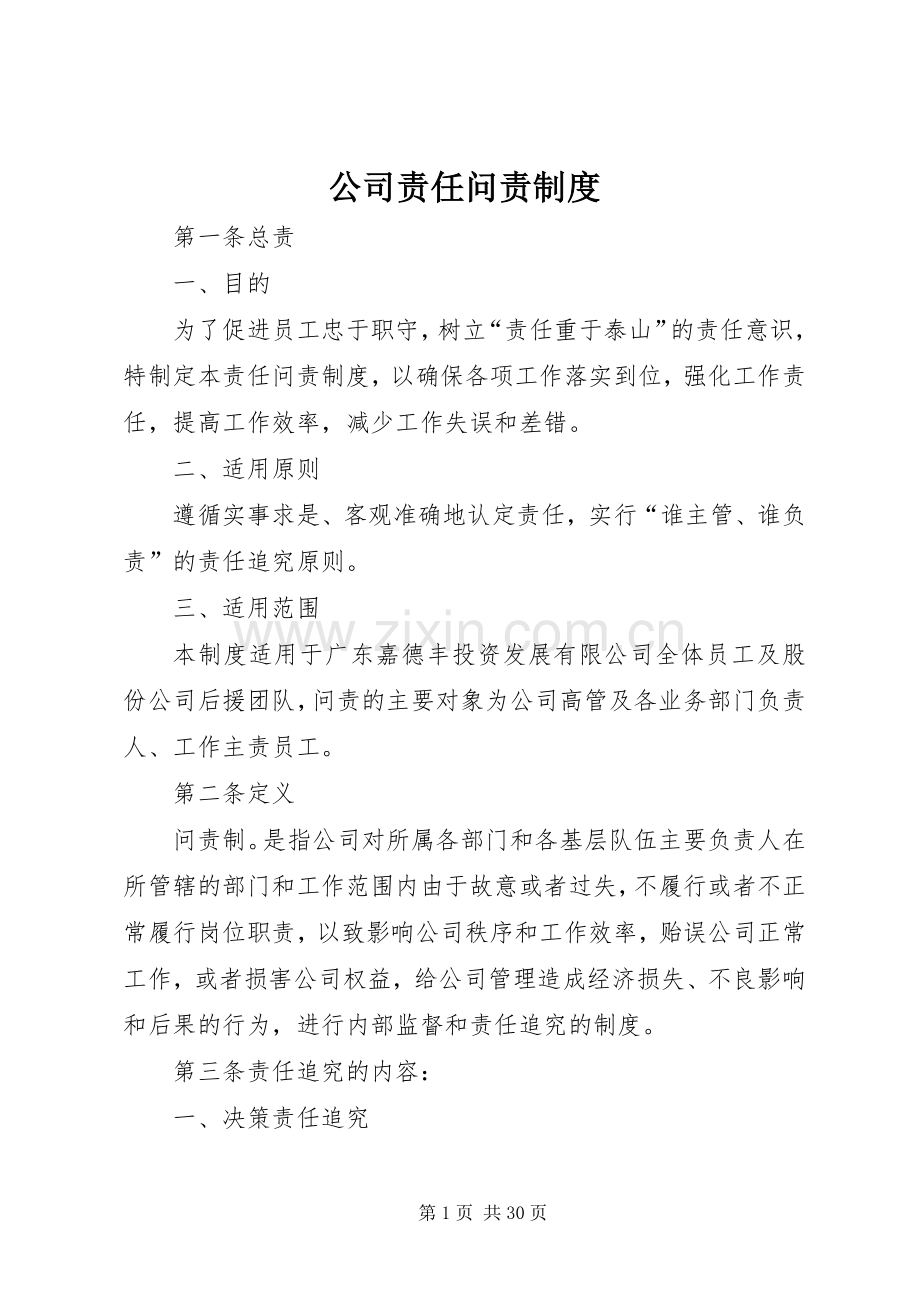 公司责任问责规章制度 .docx_第1页