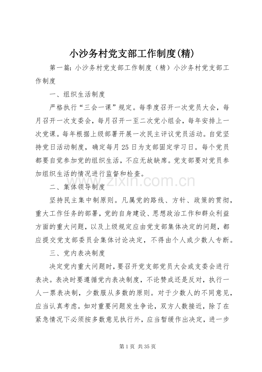 小沙务村党支部工作规章制度.docx_第1页