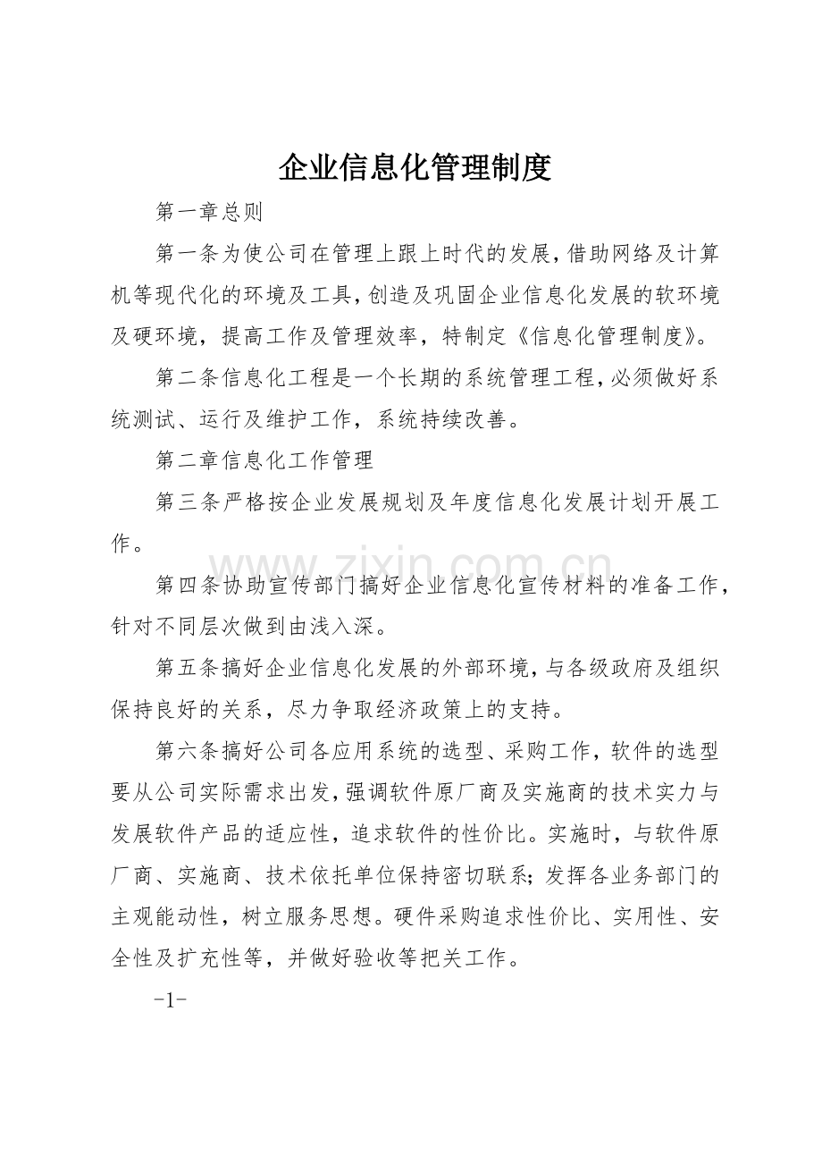 企业信息化管理规章制度细则.docx_第1页