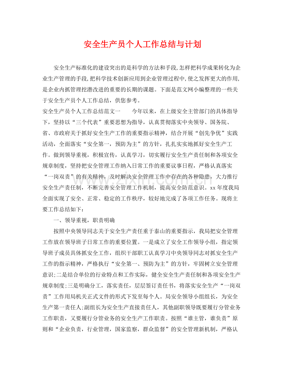 安全生产员个人工作总结与计划 .docx_第1页
