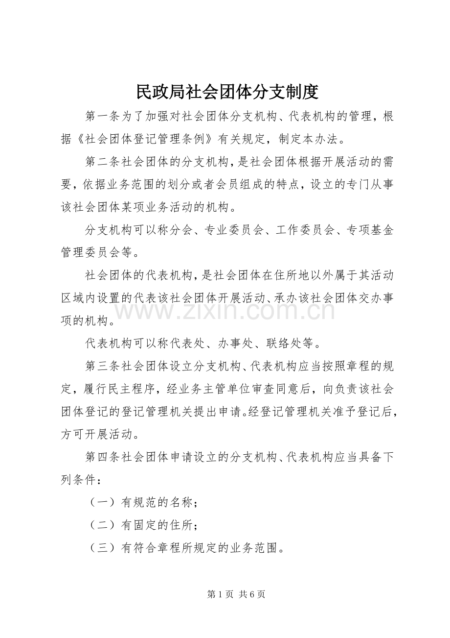 民政局社会团体分支规章制度.docx_第1页