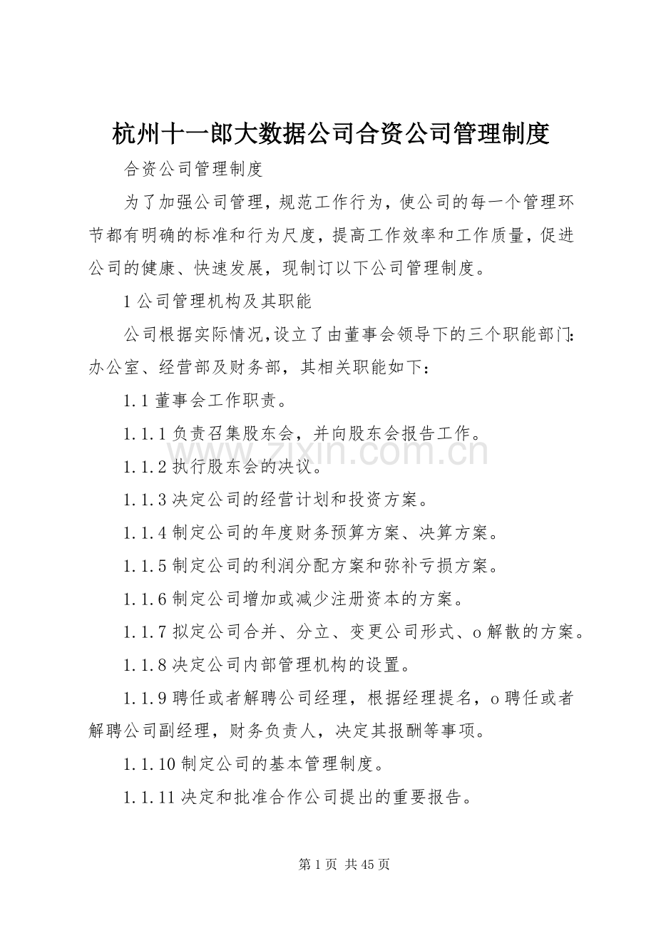 杭州十一郎大数据公司合资公司管理规章制度.docx_第1页