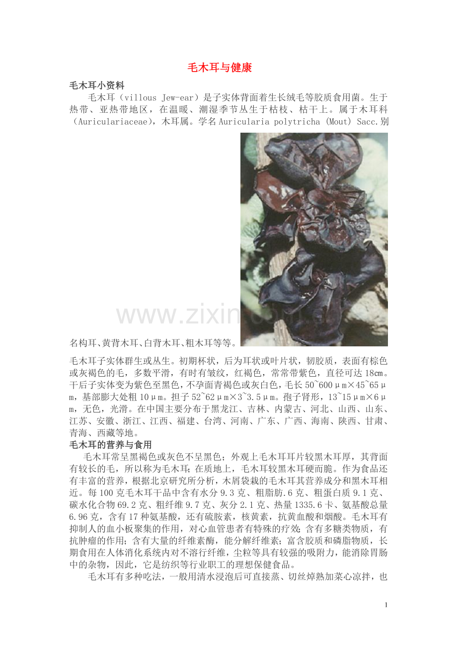 食用菌与健康--毛木耳.doc_第1页