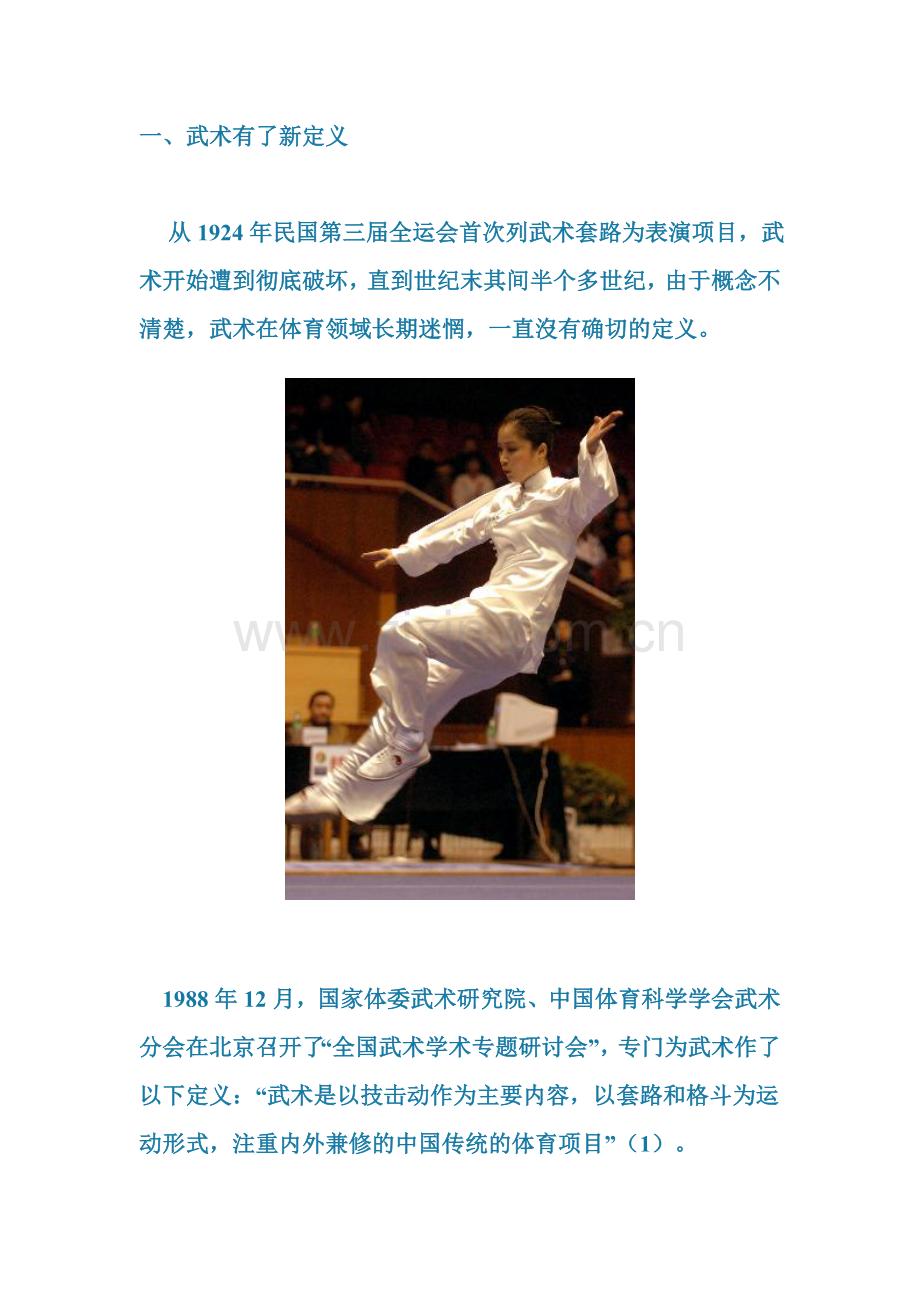 武术新定义.doc_第1页