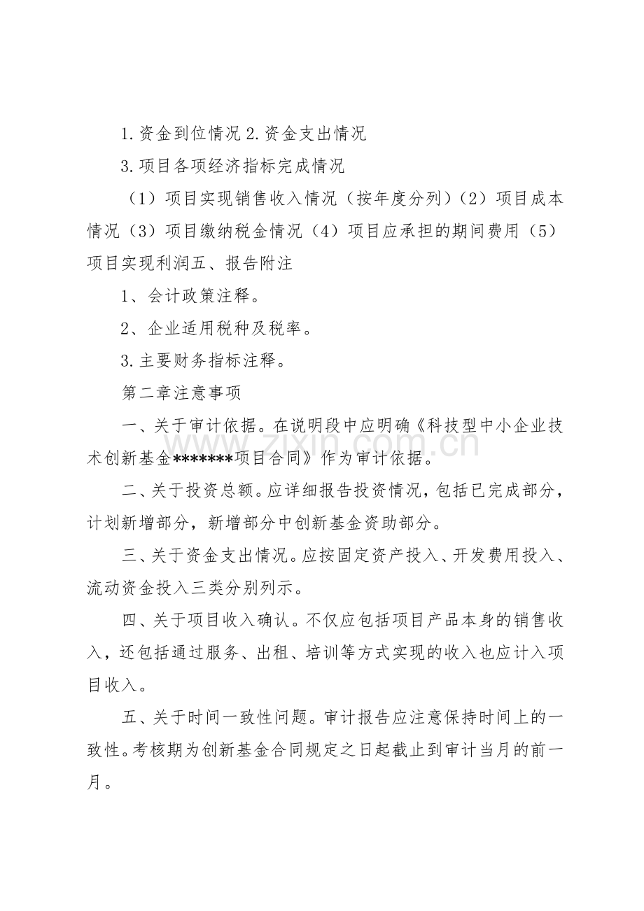 专项审计报告编制要求(1).docx_第2页