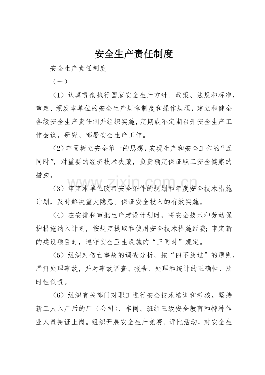 安全生产责任规章制度 (28).docx_第1页