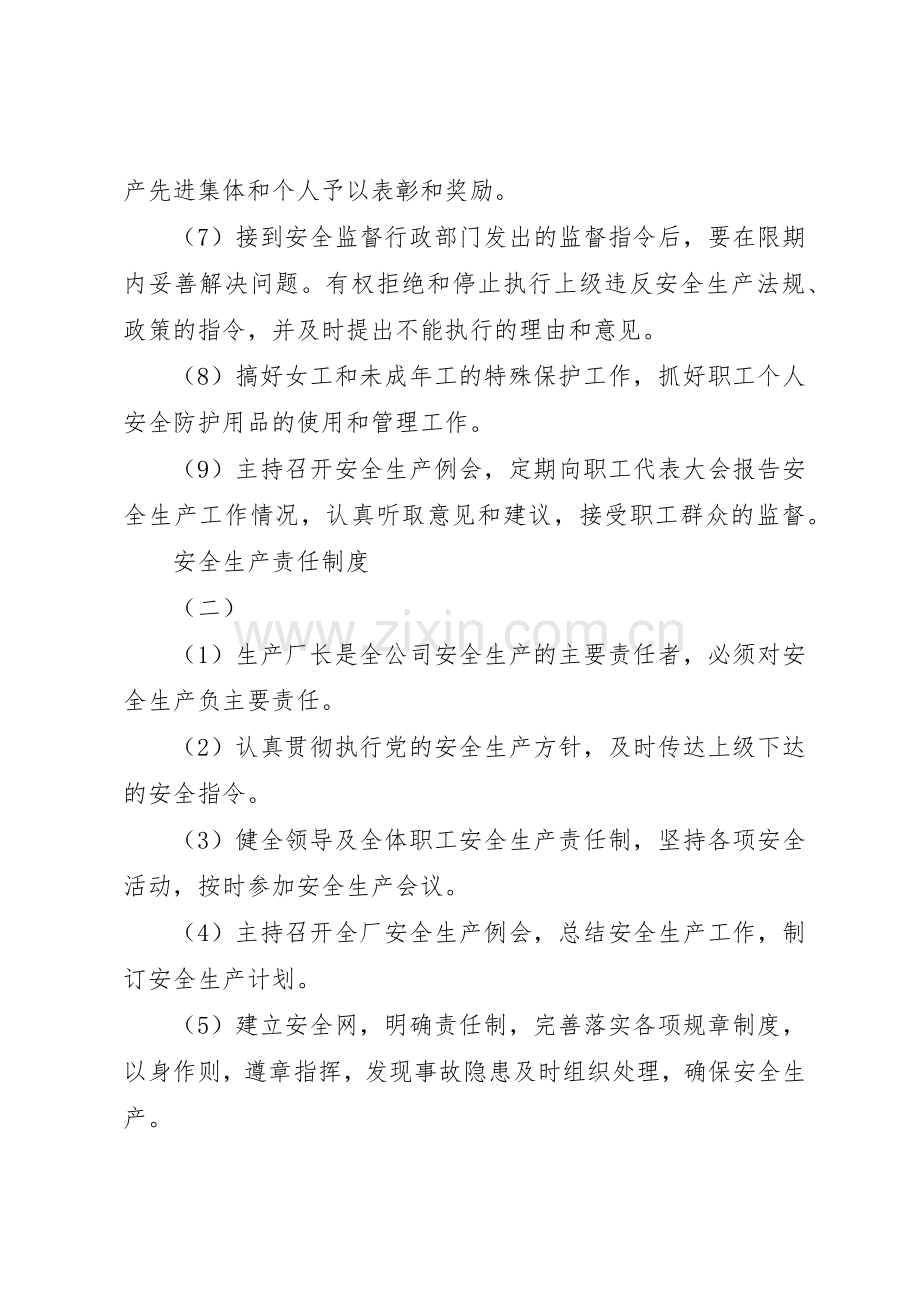 安全生产责任规章制度 (28).docx_第2页