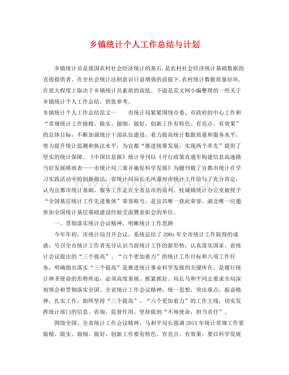 乡镇统计个人工作总结与计划 .docx_第1页