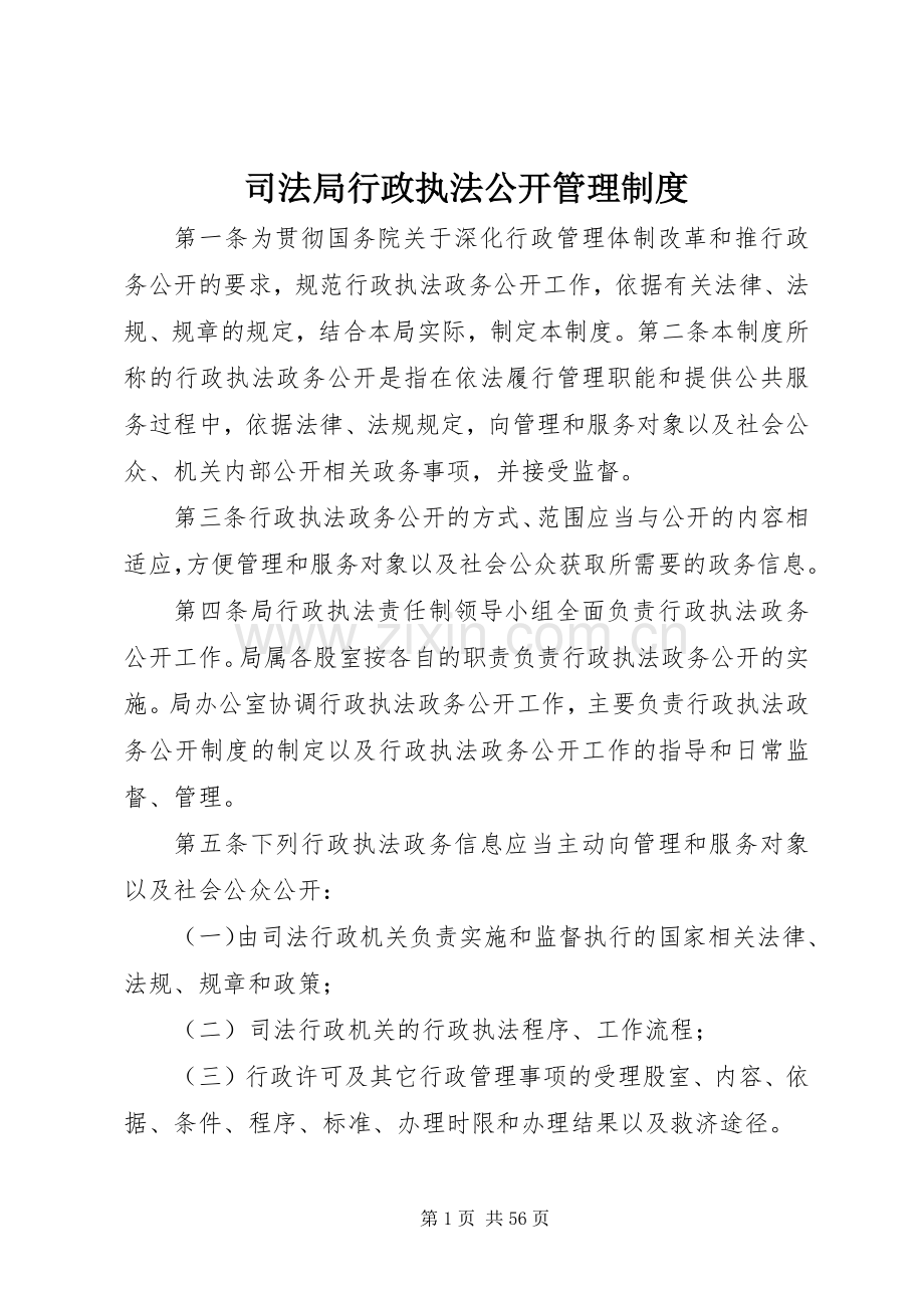 司法局行政执法公开管理规章制度.docx_第1页