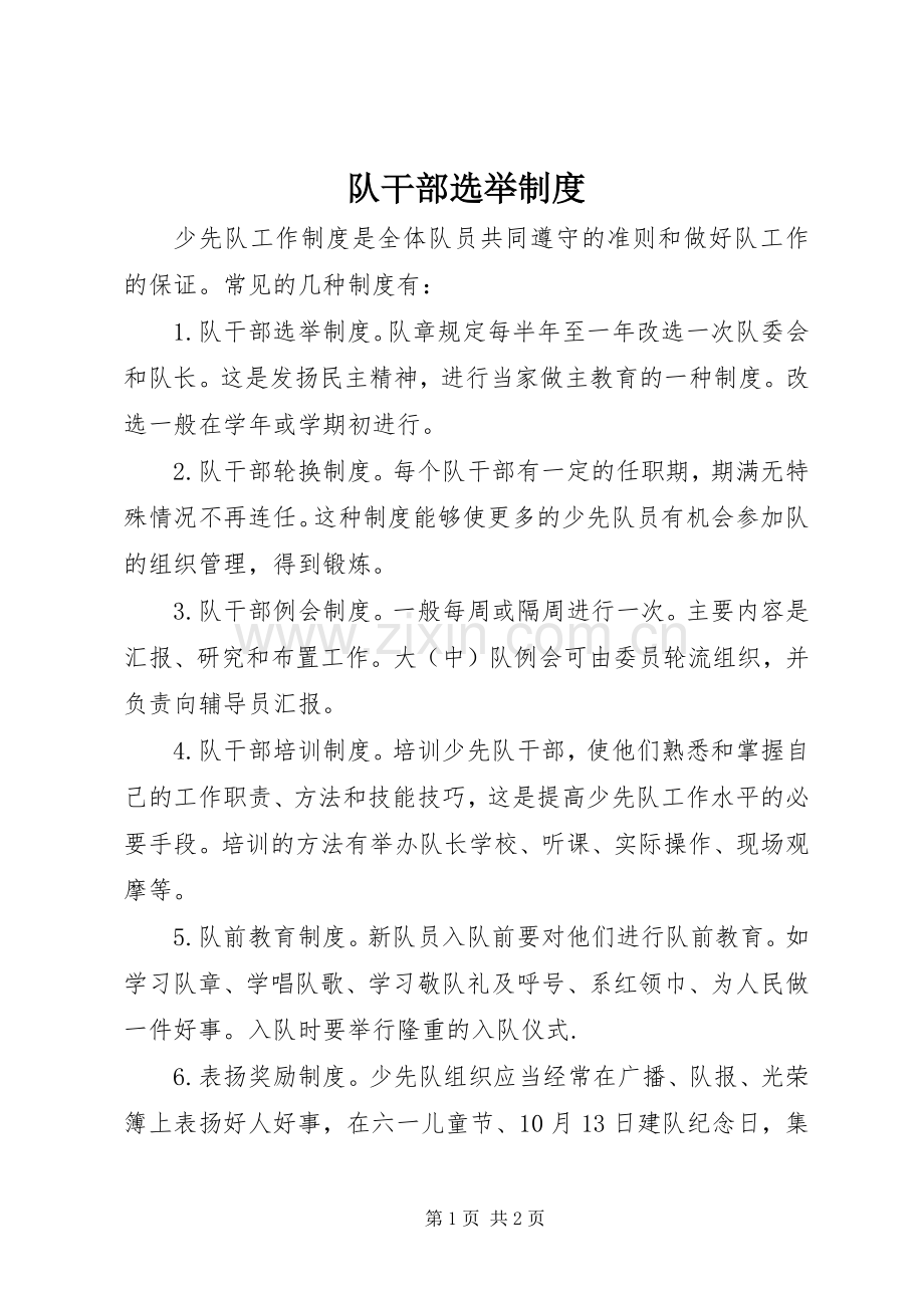 队干部选举规章制度.docx_第1页
