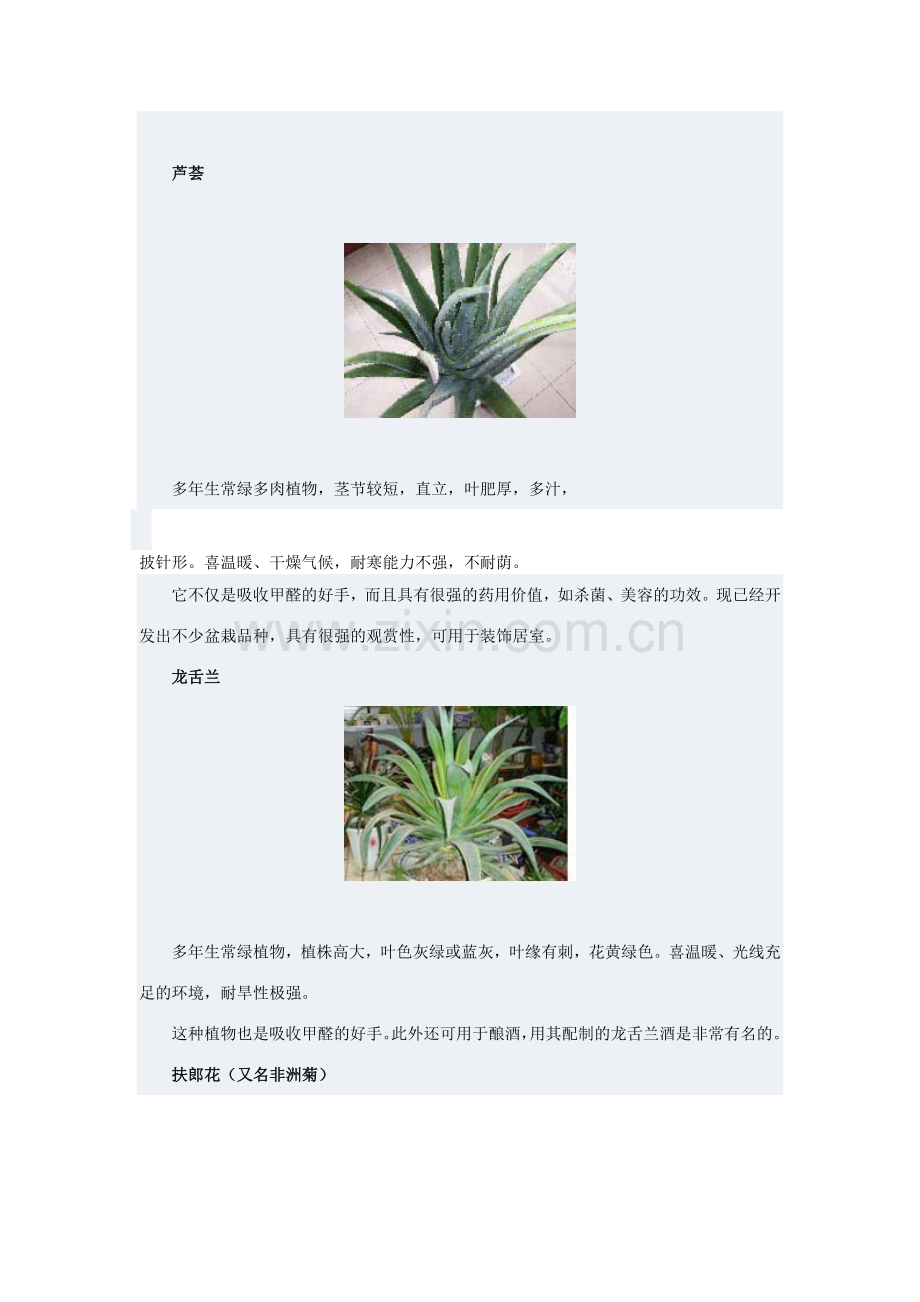 植物花卉的作用.doc_第1页