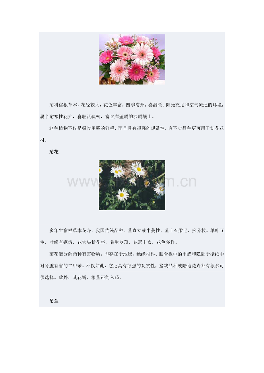 植物花卉的作用.doc_第2页