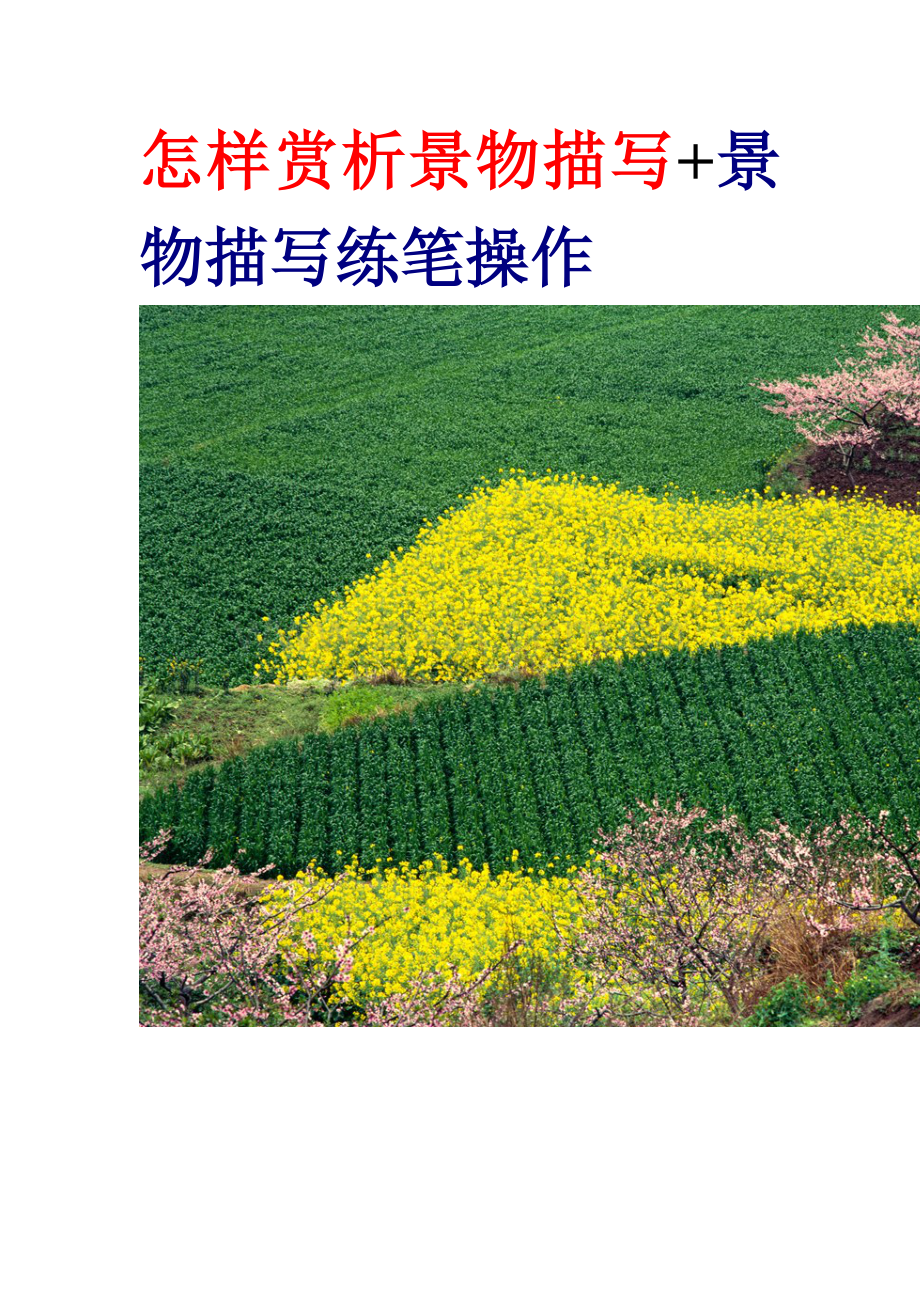 赏析写景教案.doc_第1页