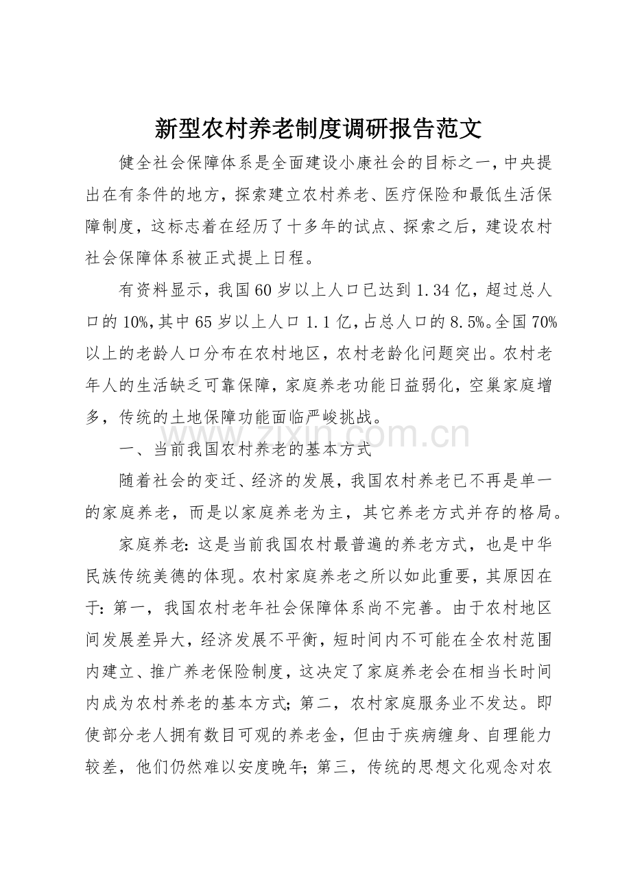 新型农村养老规章制度细则调研报告范文.docx_第1页