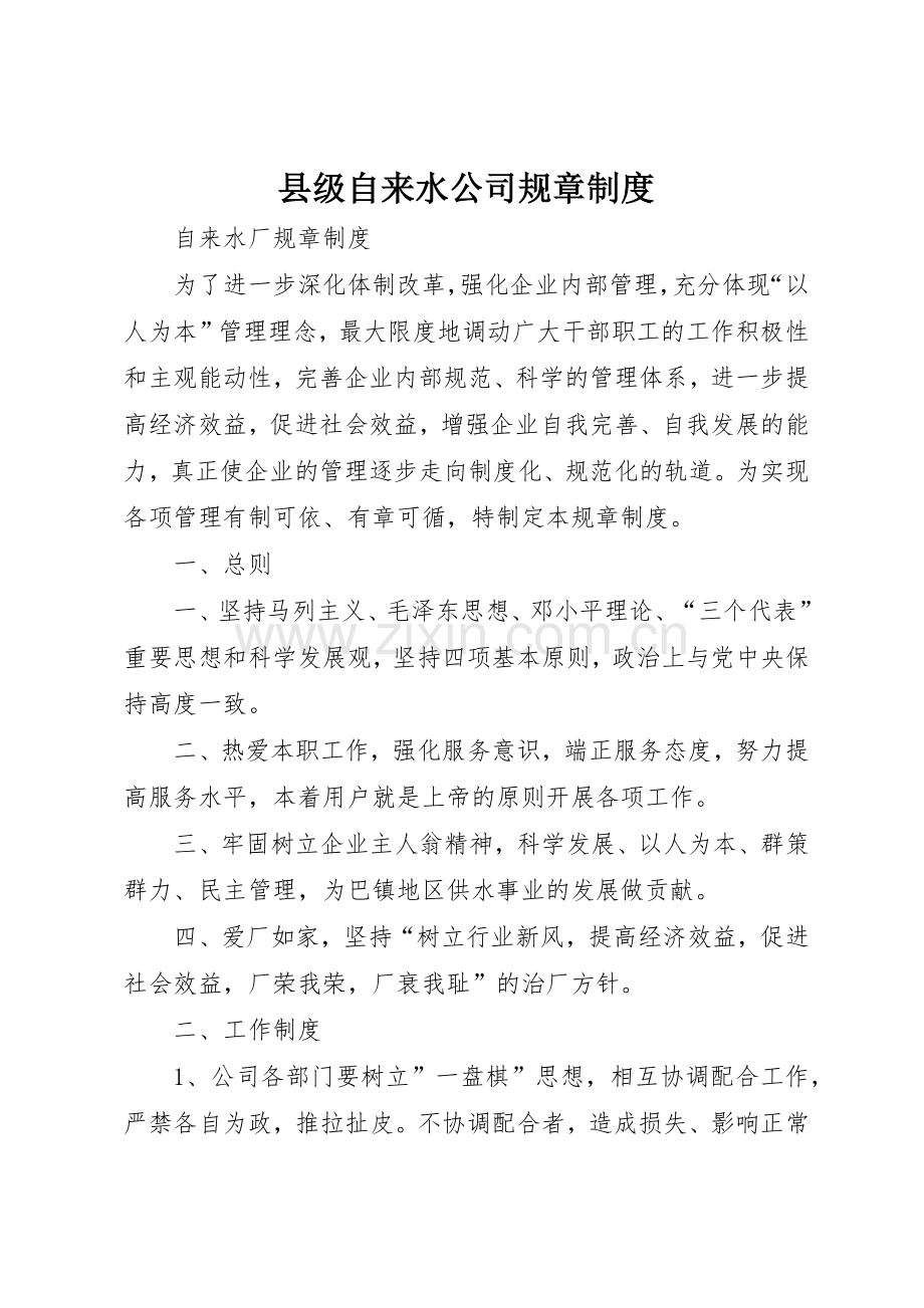 县级自来水公司规章规章制度细则.docx_第1页