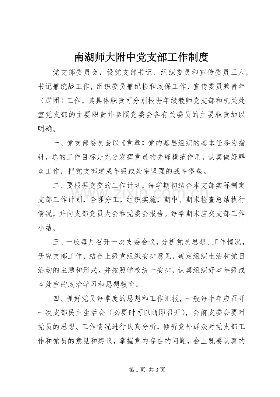 南湖师大附中党支部工作规章制度.docx_第1页
