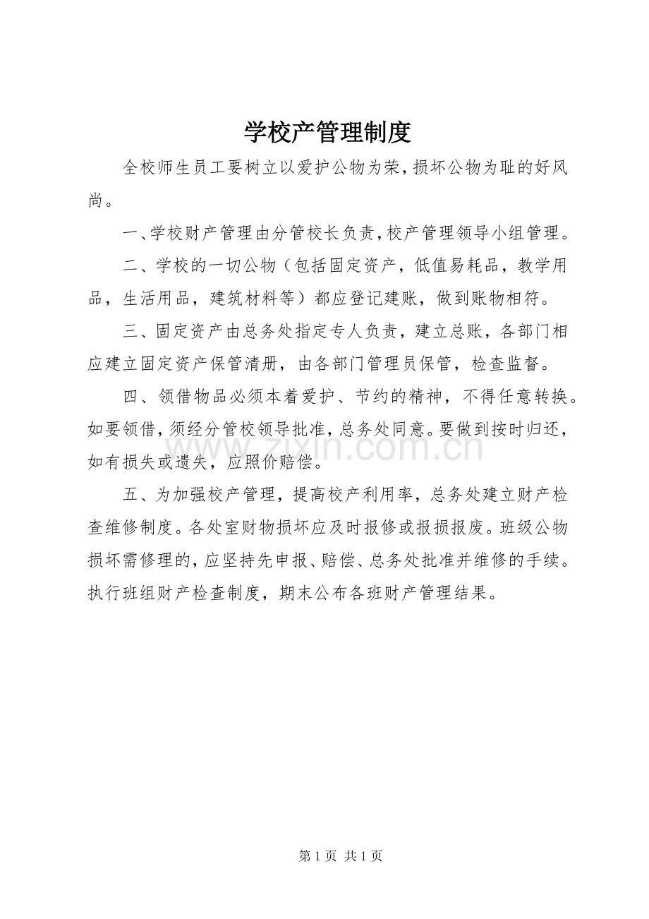学校产管理规章制度细则.docx_第1页
