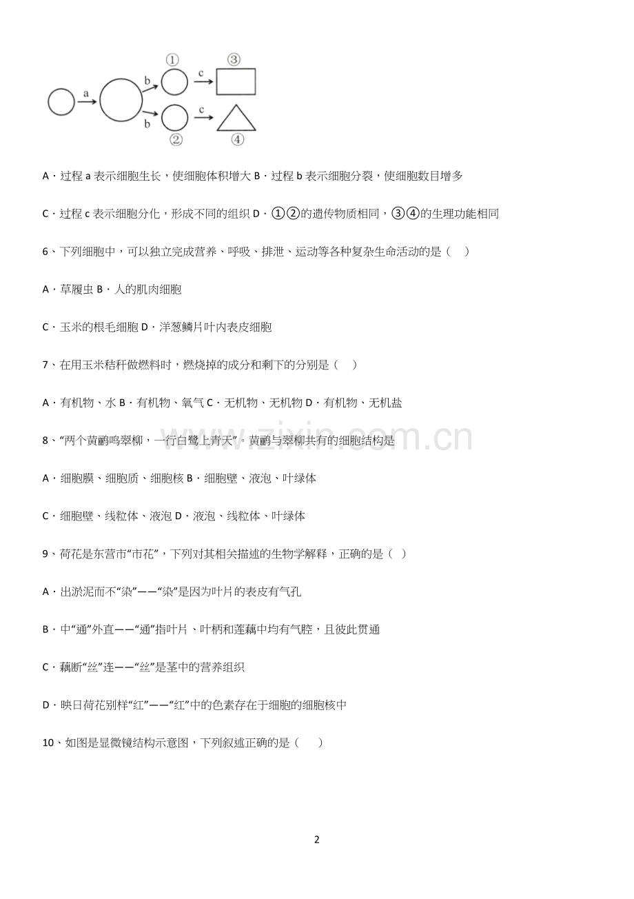 通用版初中生物七年级上册第二单元生物体的结构层次知识点梳理.docx_第2页