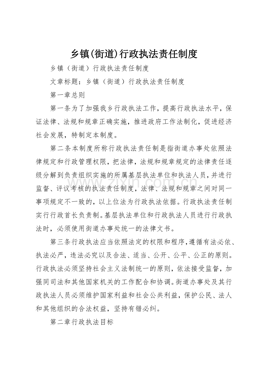 乡镇(街道)行政执法责任规章制度 .docx_第1页
