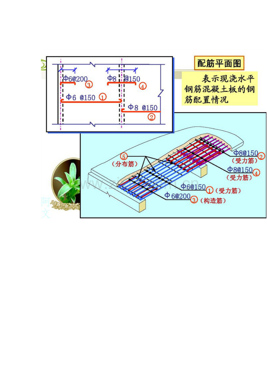 快速看懂钢筋图.doc_第1页