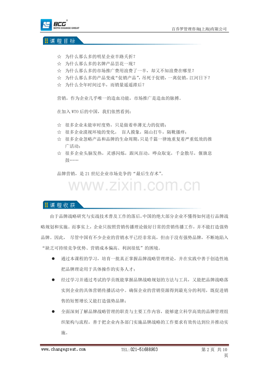 品牌战略管理.doc_第2页