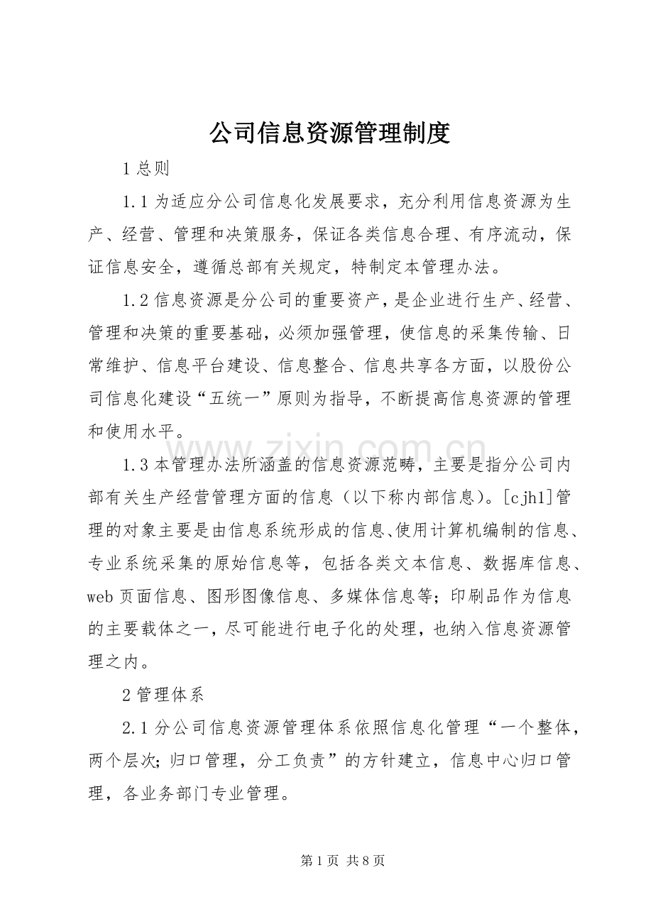 公司信息资源管理规章制度.docx_第1页