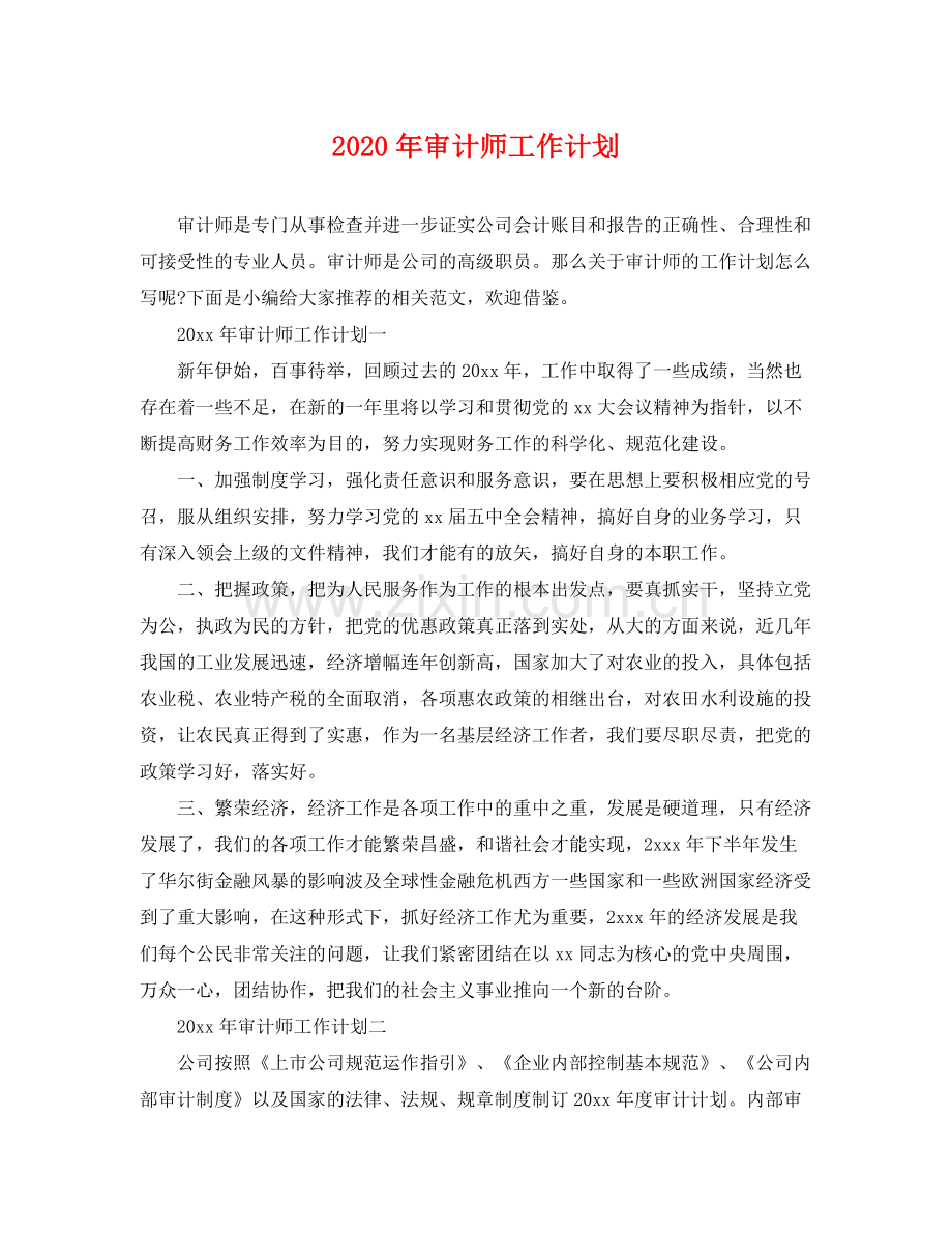 2020年审计师工作计划 .docx_第1页