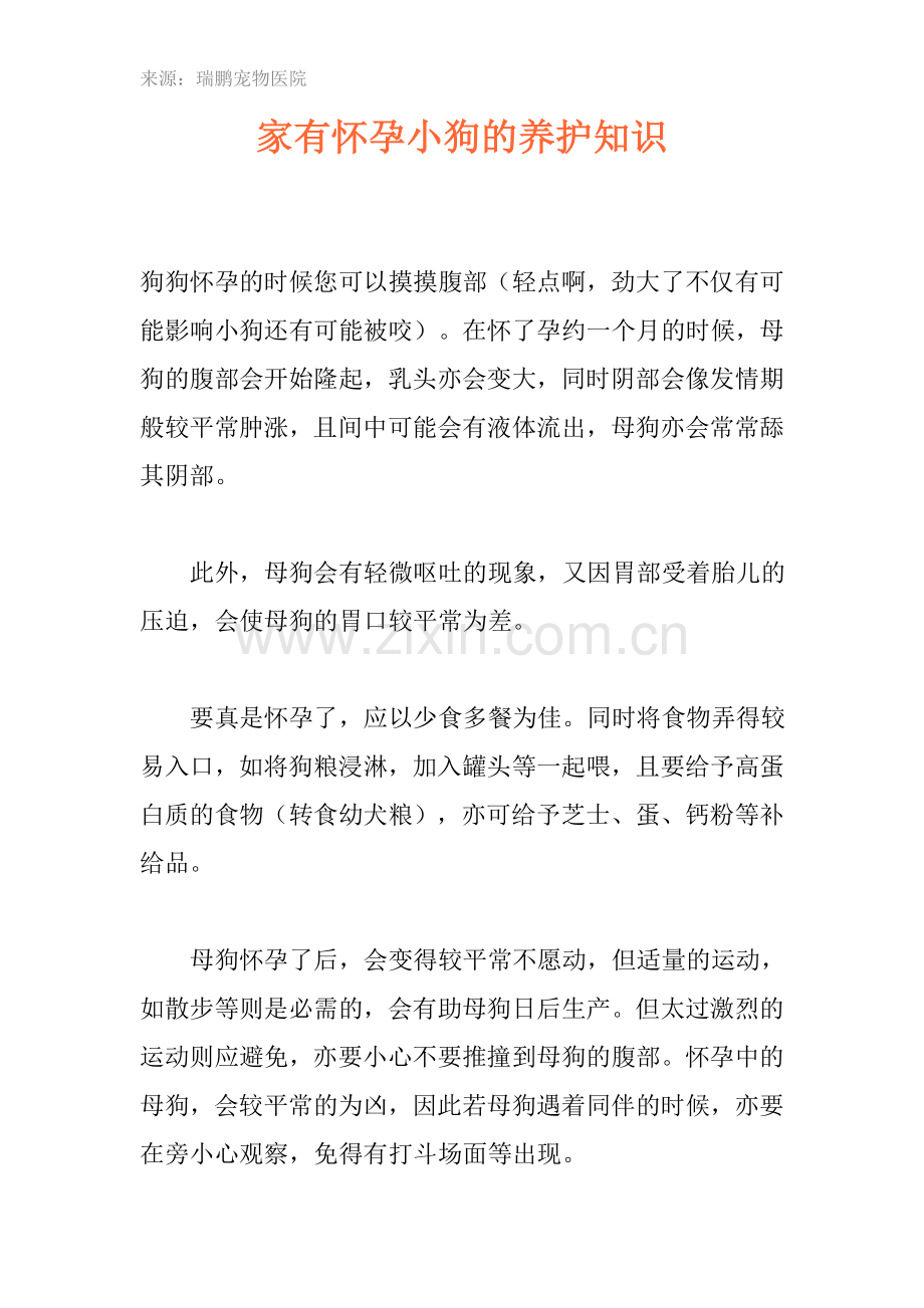 家有怀孕小狗的养护知识.doc_第1页