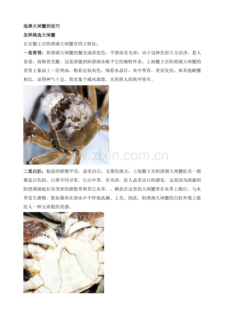 选择大闸蟹的技巧.doc_第1页