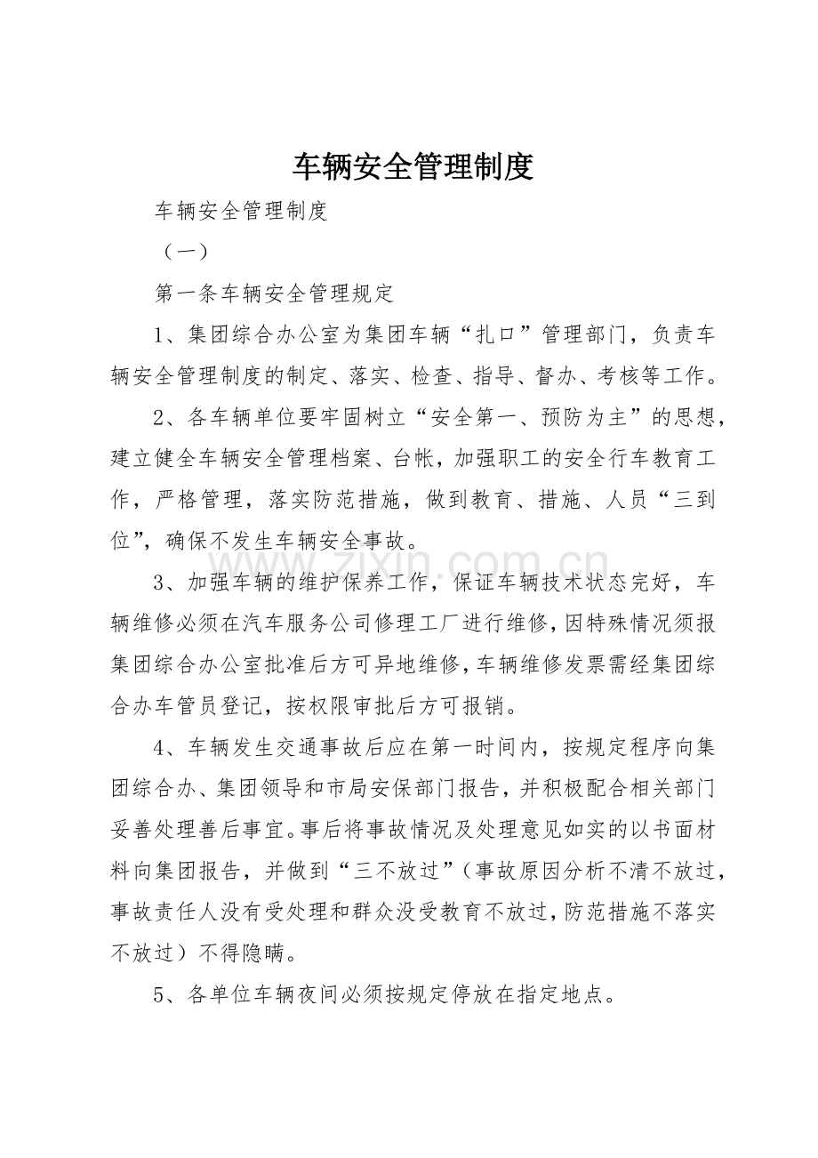 车辆安全管理规章制度 (19).docx_第1页
