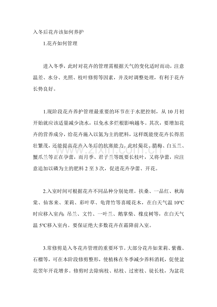 入冬后花卉该如何养护.doc_第1页