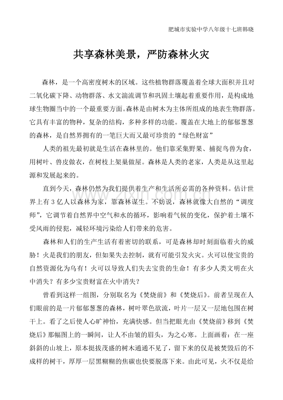 共享森林美景.doc_第1页