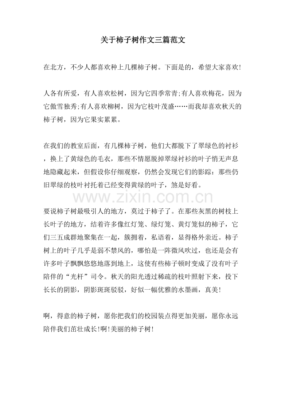 关于柿子树作文三篇范文.doc_第1页
