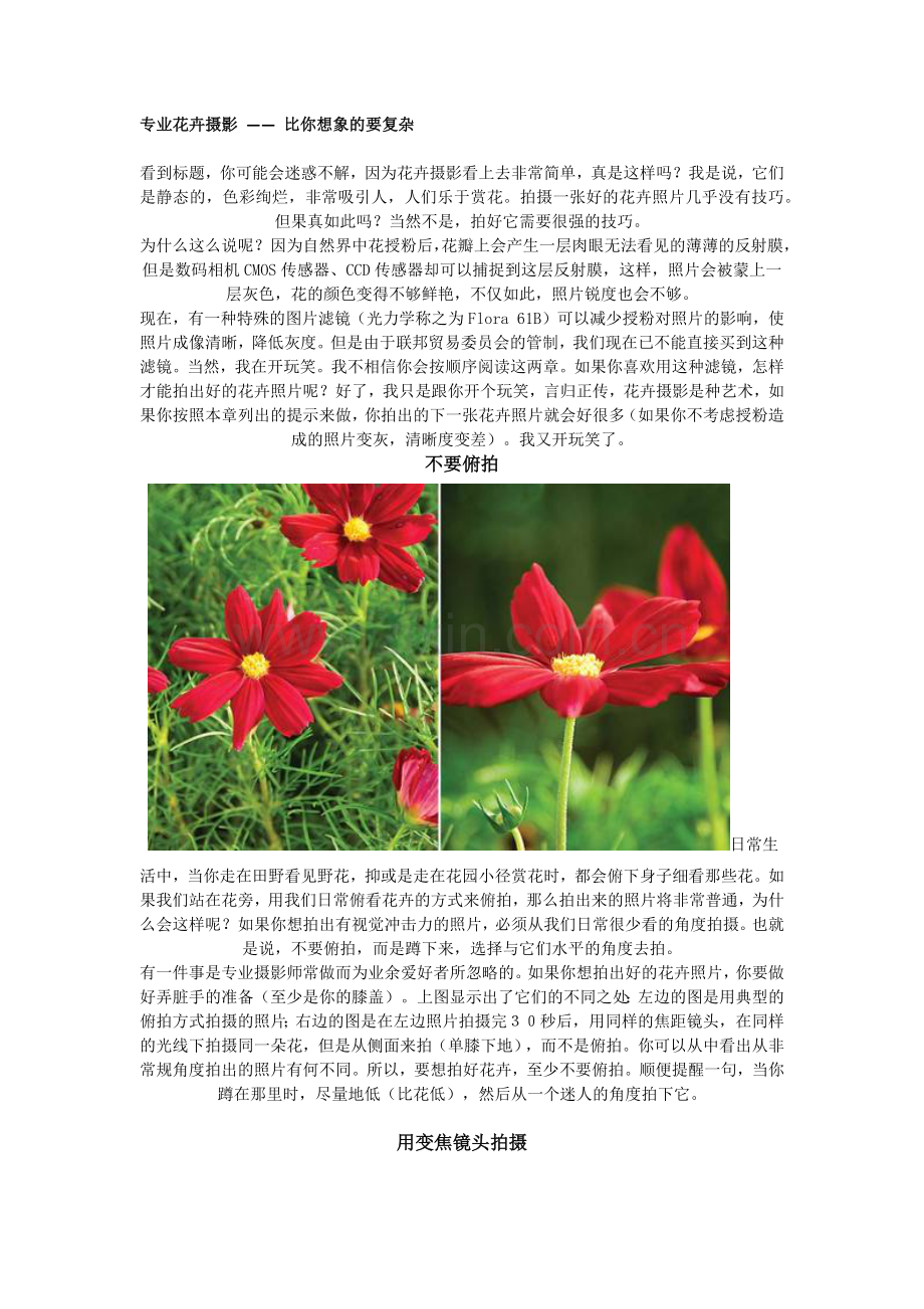 专业花卉摄影.doc_第1页