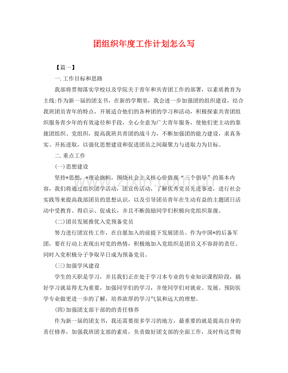 团组织年度工作计划怎么写 .docx_第1页