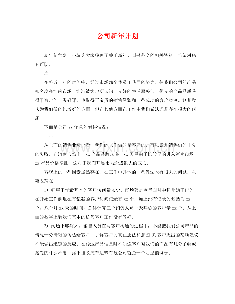 公司新年计划 .docx_第1页