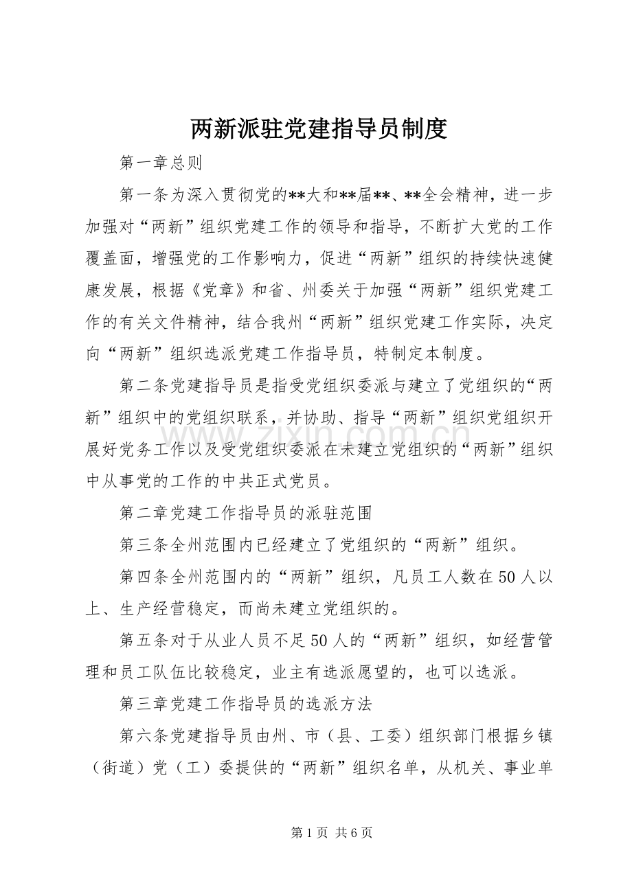 两新派驻党建指导员规章制度.docx_第1页