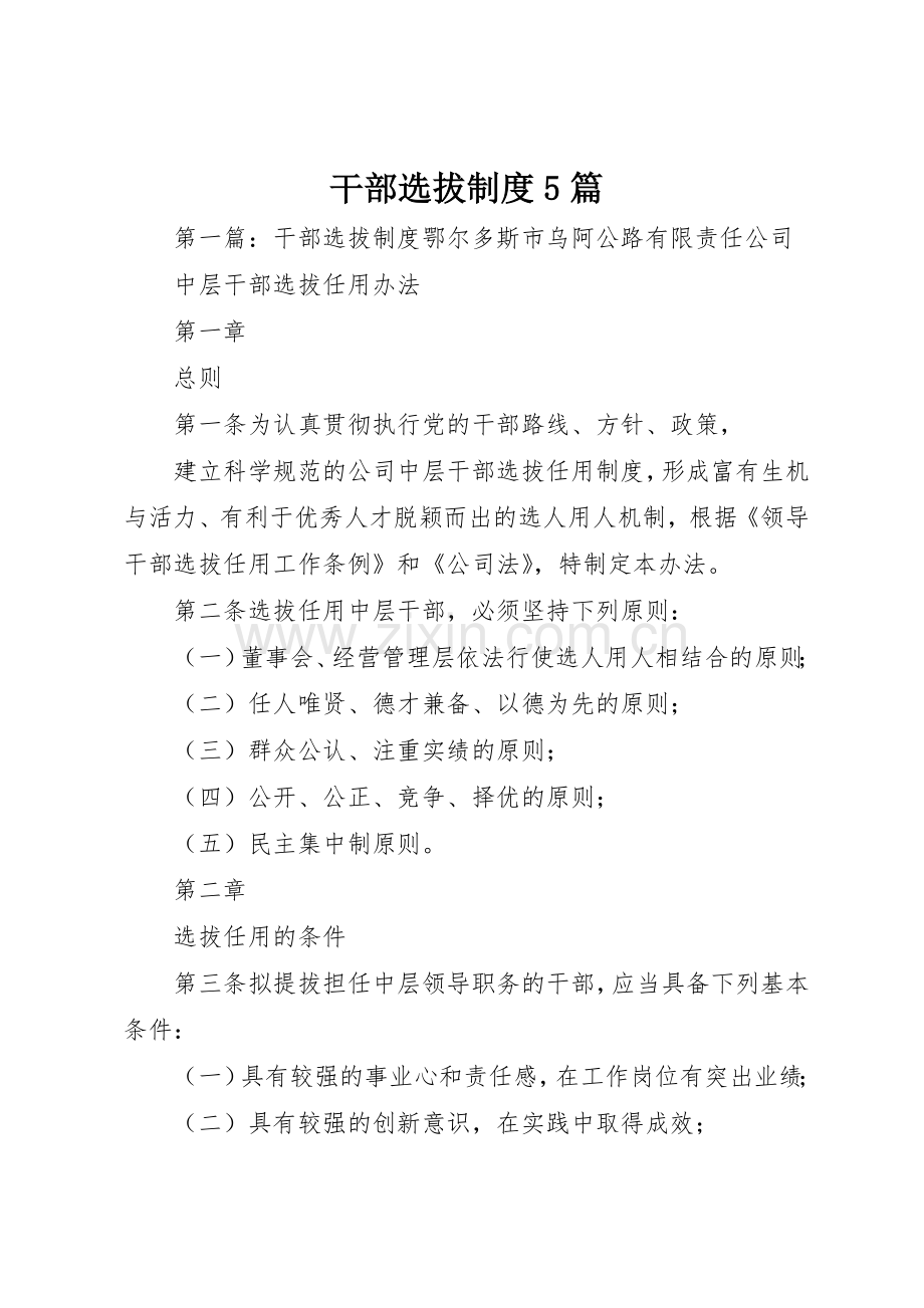 干部选拔规章制度5篇.docx_第1页