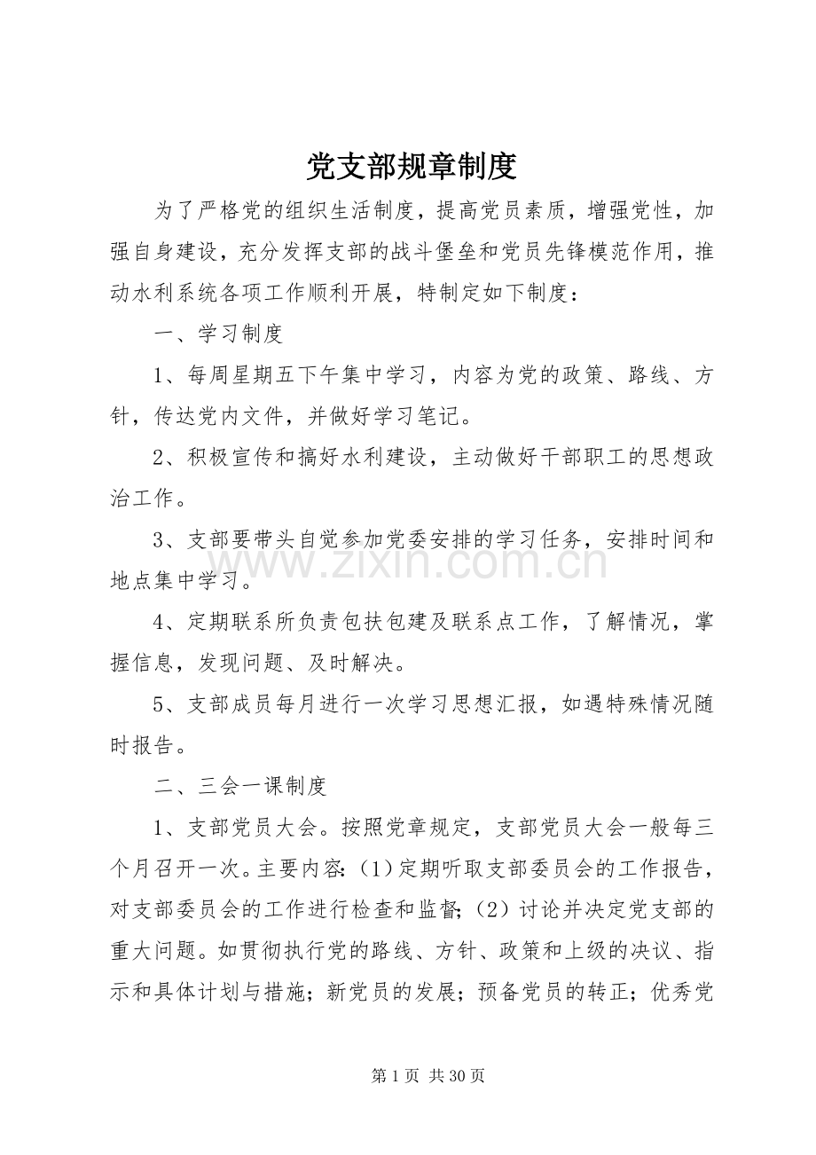 党支部规章管理规章制度.docx_第1页