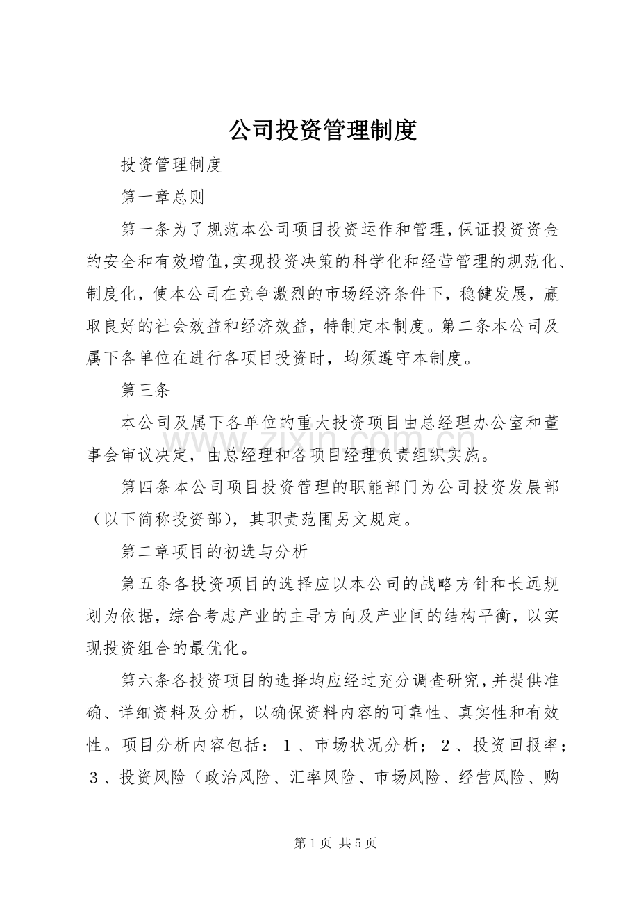公司投资管理规章制度(4).docx_第1页