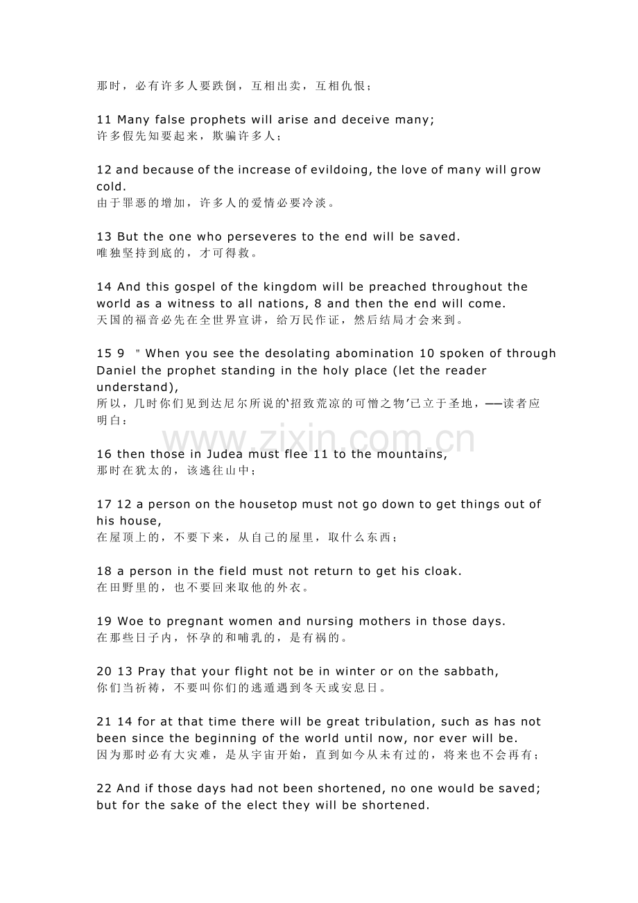 Matthew Chapter 24.doc_第2页