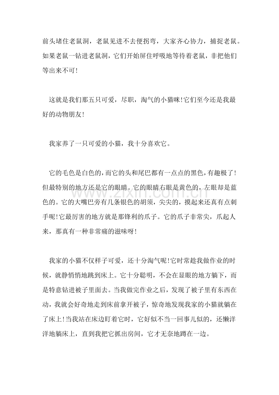 关于小猫的说明文作文600字.doc_第2页