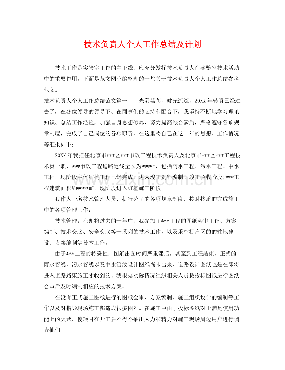 技术负责人个人工作总结及计划 .docx_第1页
