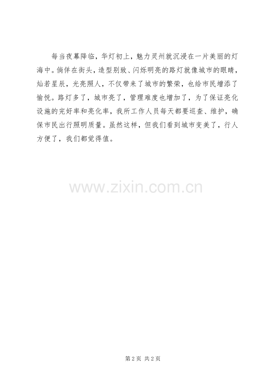 路灯管理所路灯管理规章制度.docx_第2页