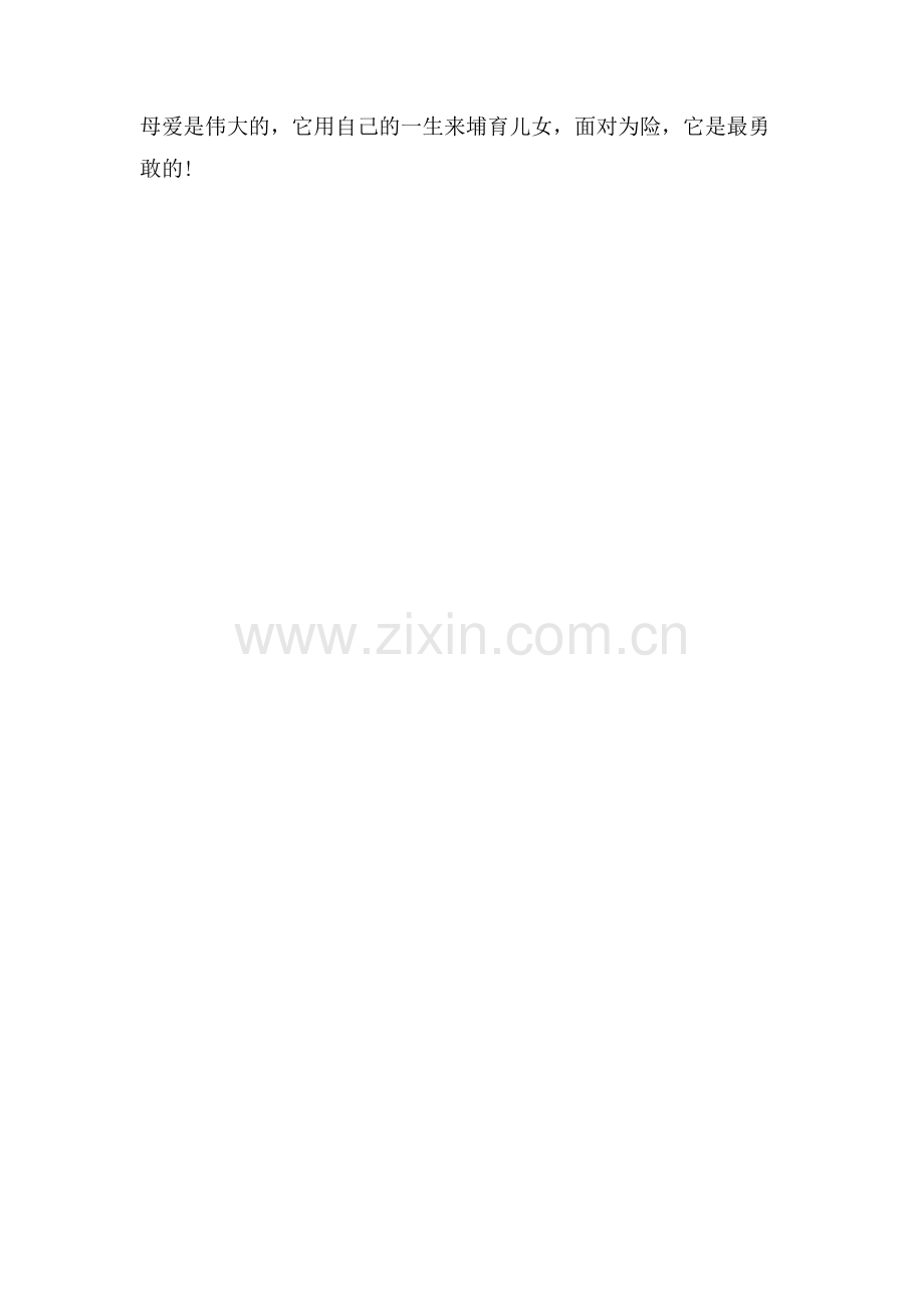 母爱使我感动作文.doc_第2页
