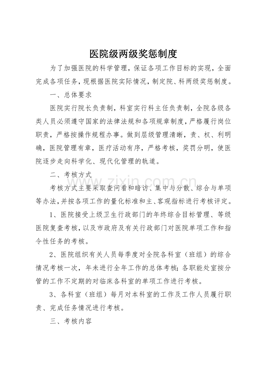 医院级两级奖惩规章制度细则.docx_第1页