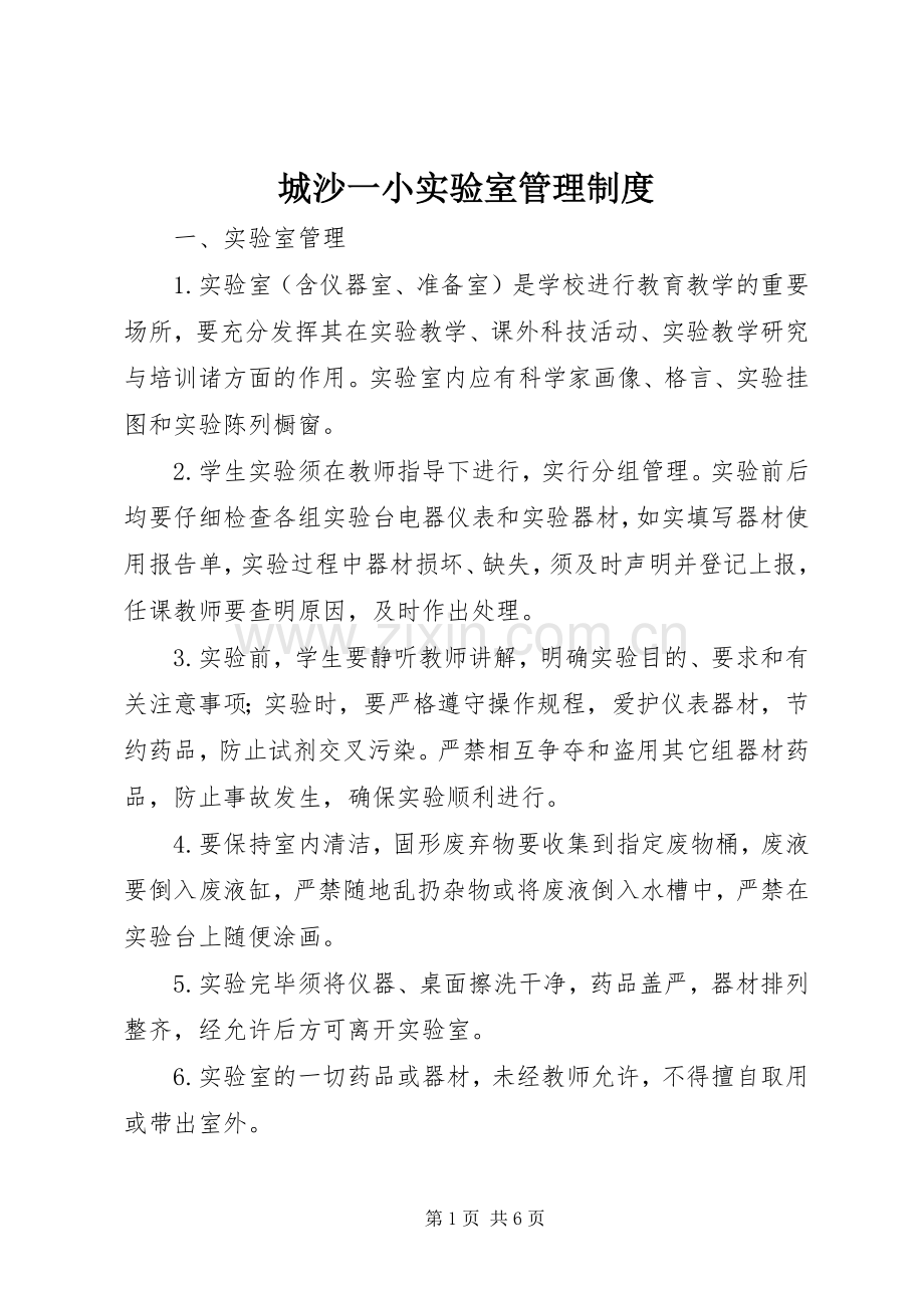 城沙一小实验室管理规章制度.docx_第1页