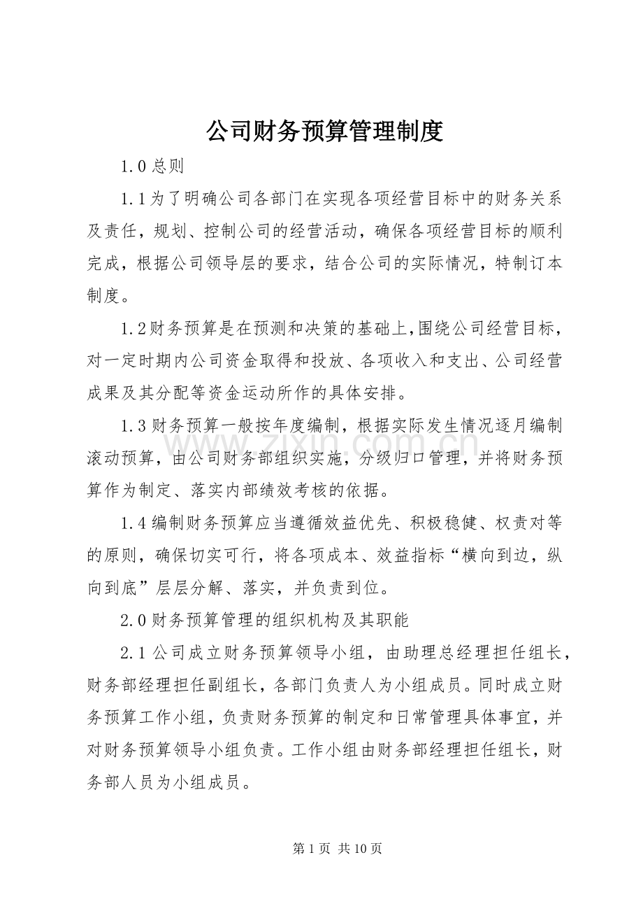 公司财务预算管理规章制度.docx_第1页