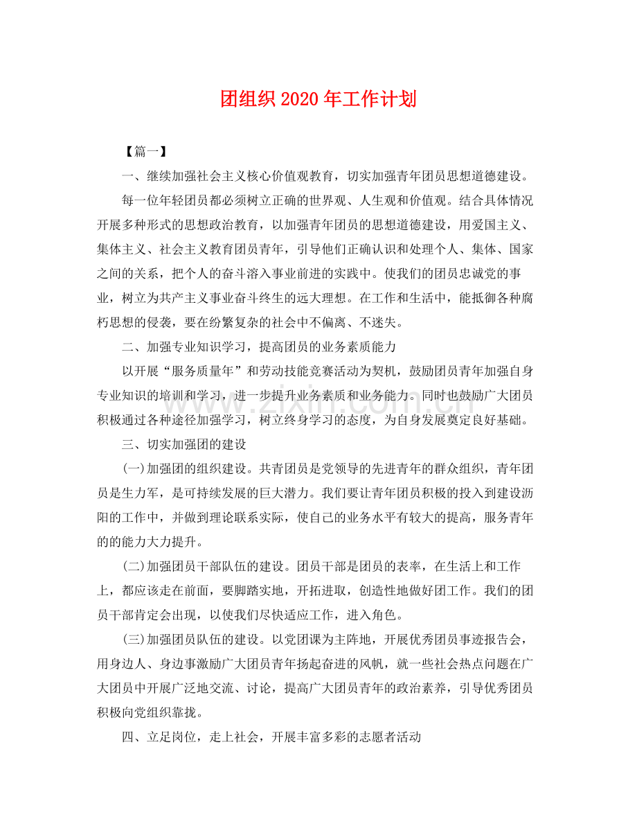 团组织年工作计划 .docx_第1页